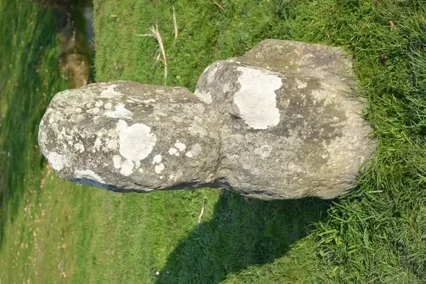 Monte Escalier Sérénité Pose monte escalier Prinquiau