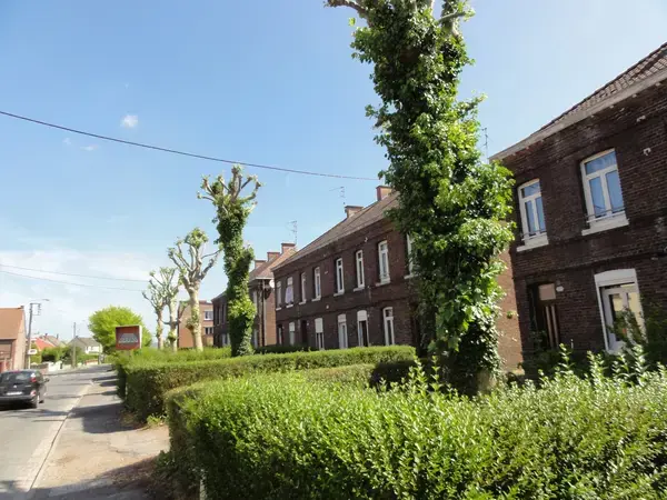 Monte Escalier Sérénité Pose monte escalier Quiévrechain