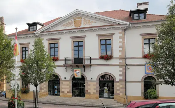 Monte Escalier Sérénité Pose monte escalier Rouffach
