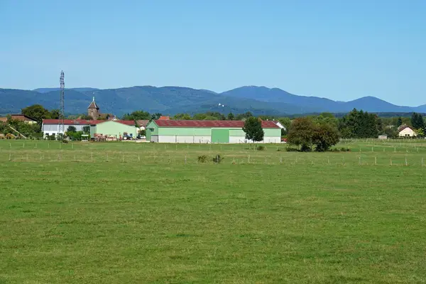 Monte Escalier Sérénité Pose monte escalier Roye