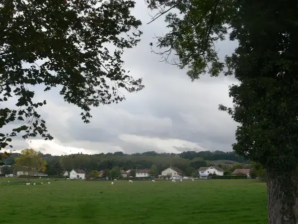 Monte Escalier Sérénité Pose monte escalier Saint-André-le-Gaz