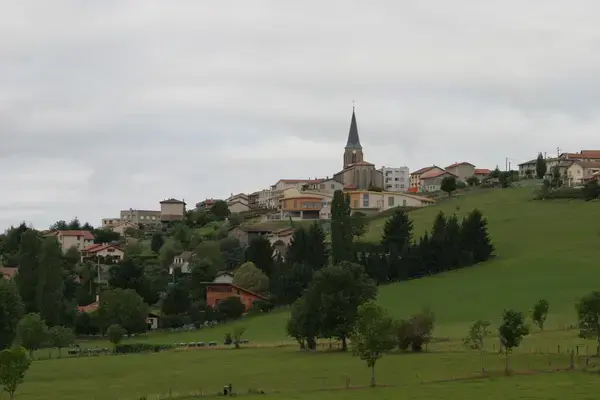 Monte Escalier Sérénité Pose monte escalier Saint-Christo-en-Jarez