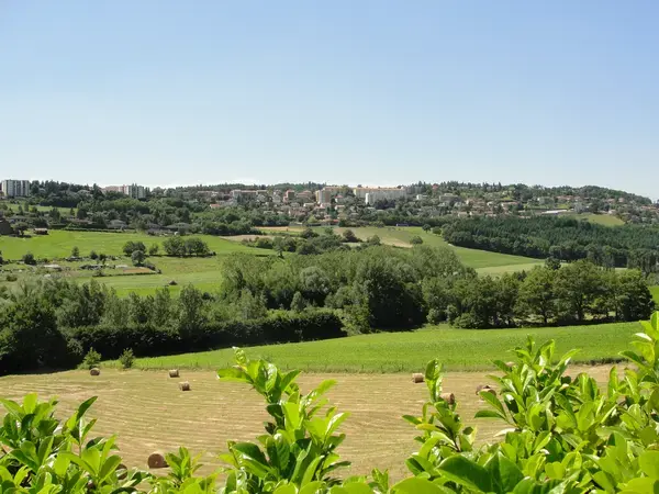 Monte Escalier Sérénité Pose monte escalier Saint-Genest-Lerpt