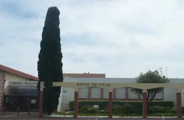 Monte Escalier Sérénité Pose monte escalier Saleilles