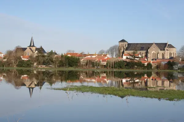 Monte Escalier Sérénité Pose monte escalier Sallertaine