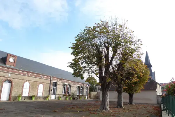 Monte Escalier Sérénité Pose monte escalier Serazereux
