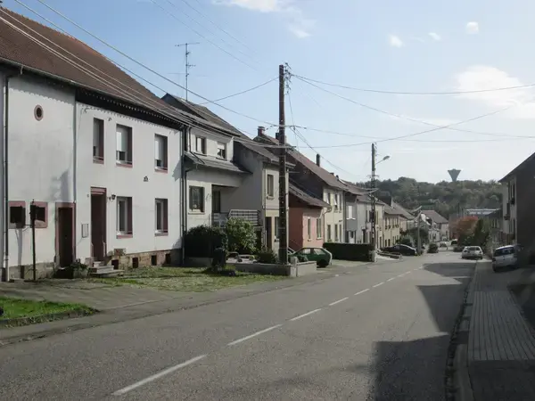 Monte Escalier Sérénité Pose monte escalier Spicheren