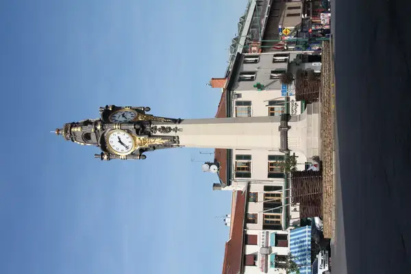 Monte Escalier Sérénité Pose monte escalier Tassin-la-Demi-Lune