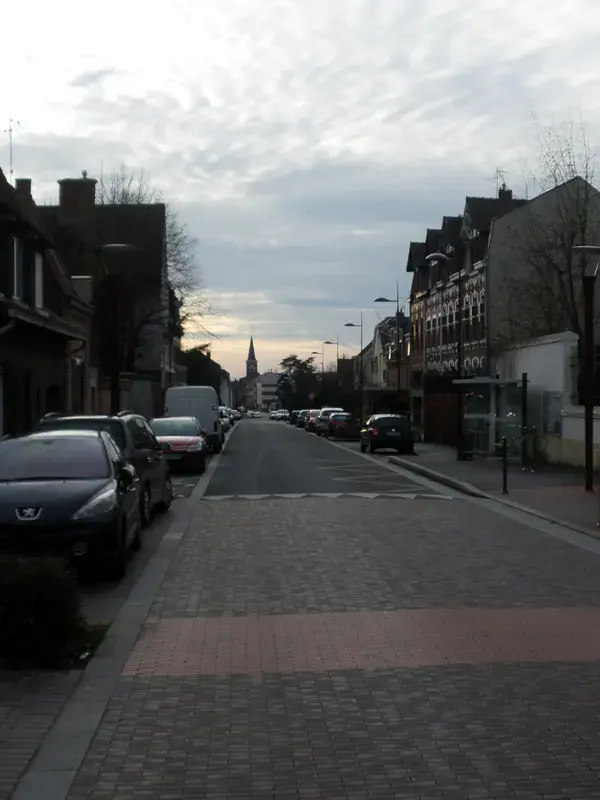 Monte Escalier Sérénité Pose monte escalier Templemars