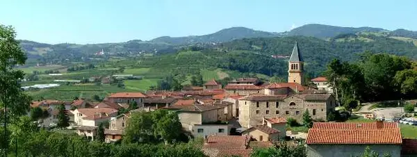 Monte Escalier Sérénité Pose monte escalier Thurins
