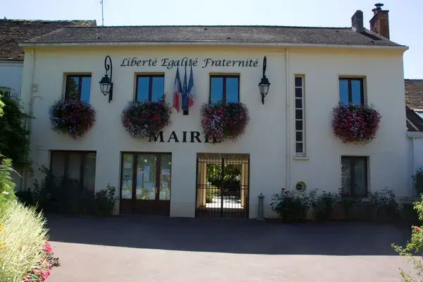 Monte Escalier Sérénité Pose monte escalier Tigery