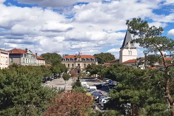 Monte Escalier Sérénité Pose monte escalier Vénissieux