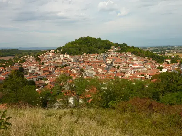 Monte Escalier Sérénité Pose monte escalier Vertaizon