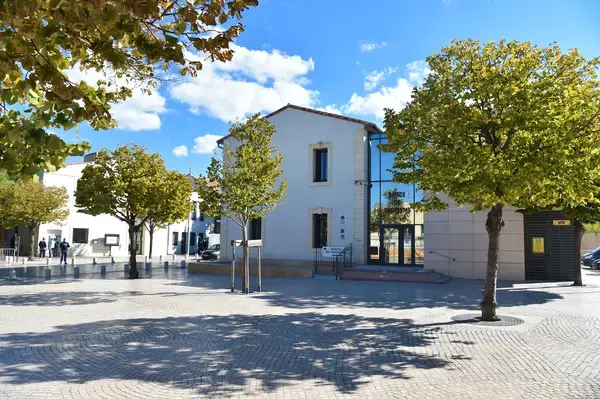Monte Escalier Sérénité Pose monte escalier Vic-la-Gardiole