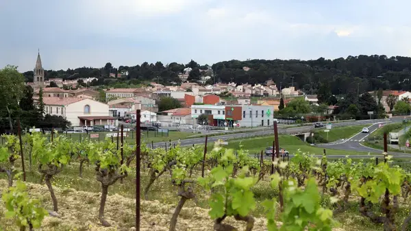 Monte Escalier Sérénité Pose monte escalier Villemoustaussou