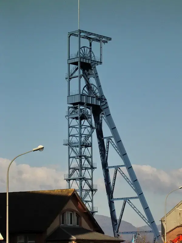 Monte Escalier Sérénité Pose monte escalier Wittenheim