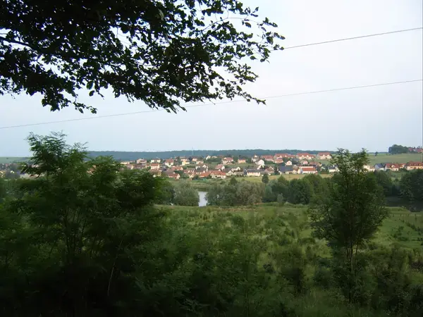 Monte Escalier Sérénité Pose monte escalier Woustviller